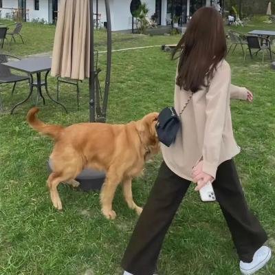 谋财陷阱